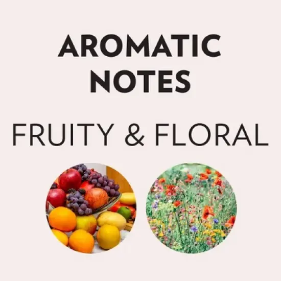 Lavazza Espresso Italiano Ground - 10.5oz image {4}