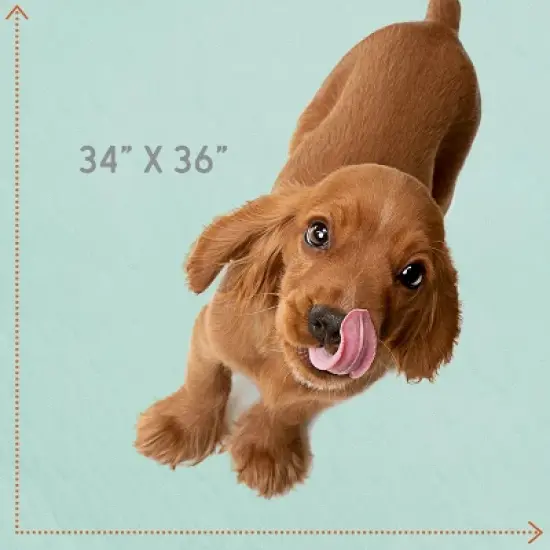 MaxProtect Reusable Pee Pads For Dogs, Training Underpads, Heavy-Duty Absorbency - 34" x 36" image {4}