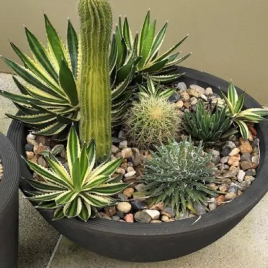 Crescent Garden Delano Plastic Planter Baskets Golden Bronze image {1}