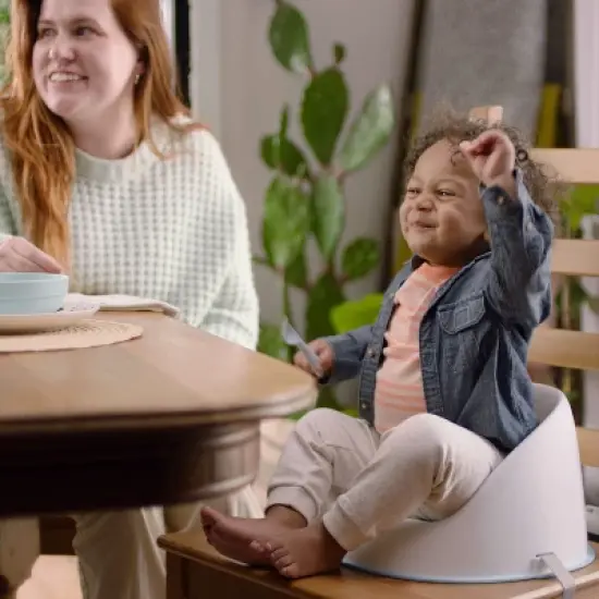 Ingenuity Simplicity Toddler Booster Seat - Gray image {1}