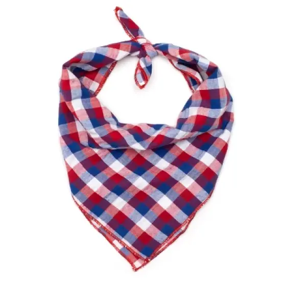 The Worthy Dog Check Pattern Classic Square Tie-On Bandana image {1}