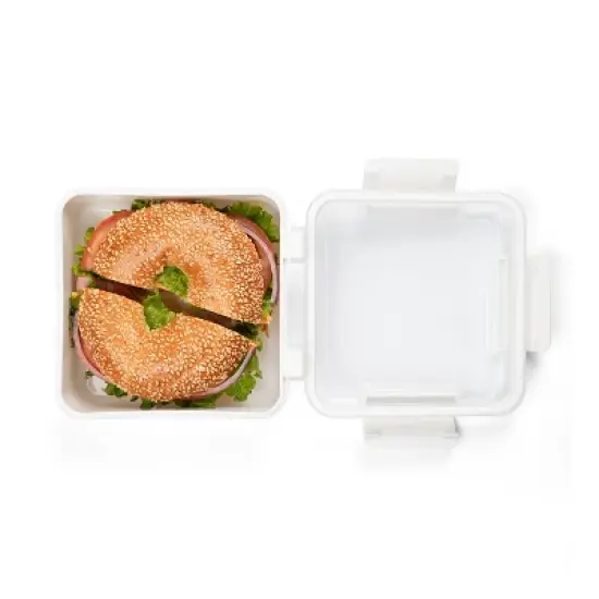 SnapLock Internat Large Sandwich To Go Food Storage Container image {2}