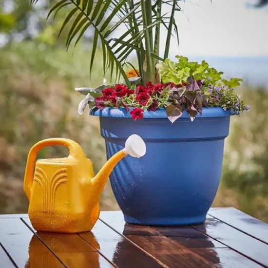 Bloem Classic Plastic Watering Can, 2 Gallon image {2}
