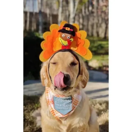 Midlee Turkey Dog Headband image {5}
