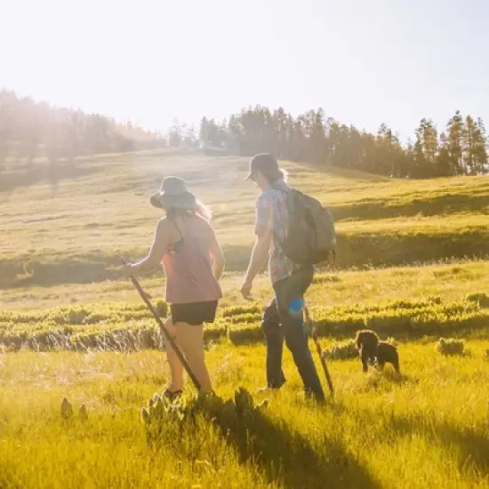 Brazos Twisted Fitness Walker Brown Wood Walking Stick 55 Inch Height image {4}