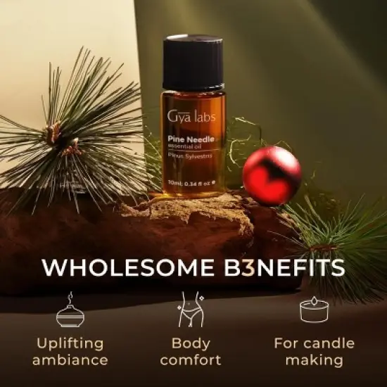Gya Labs Essential Oils for Diffuser - 0.34 Fl Oz - Fall Pine Oil for Skin, Body Massages & Candle Making Scent image {4}