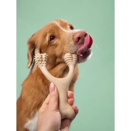 BetterBone Medium Density Beef Dog Bone Toy - S image {3}
