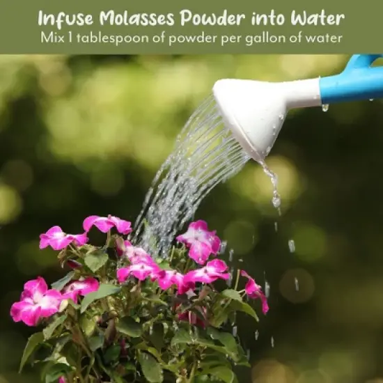 Soil Sunrise Dry Horticultural Molasses Powder, Indoor/Outdoor Gardening Soil Amendment for Plants image {2}