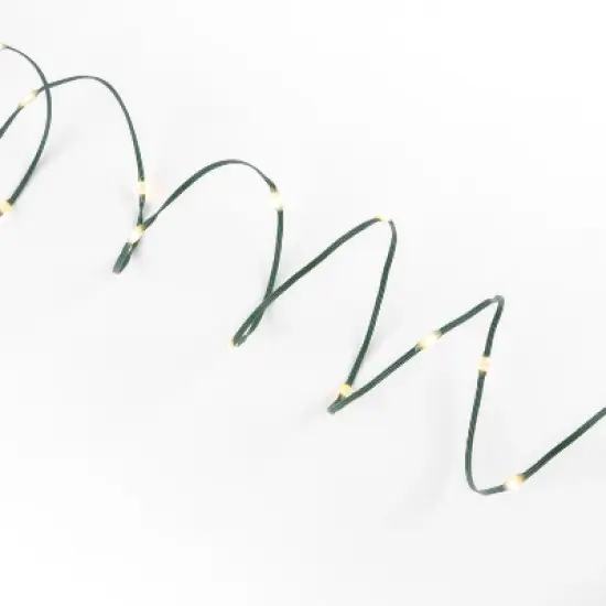 Everlasting Glow 50-ft L Warm White Micro LED Green String image {1}