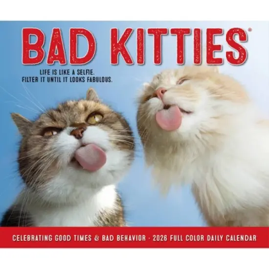 Willow Creek Press 2026 Bad Kitties Box Calendar image {4}