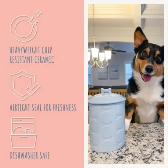 Park Life Designs 46 fl oz Manor Dog Treat Jar Food Storage Container - Aqua Blue image {4}