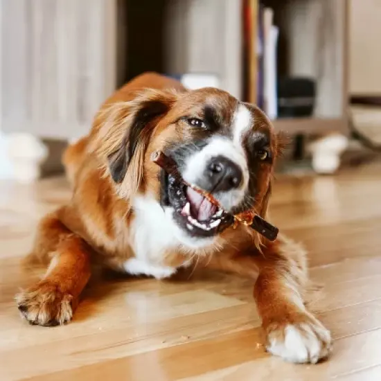 Paw Love Wrapped Collagen Beef Flavor Dog Treats - 1.05oz/3ct image {2}