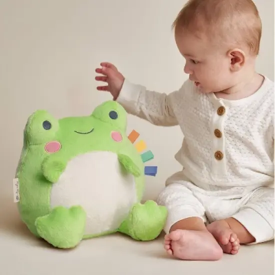 Itzy Ritzy Sweetie Snuggles Plush Stuffed Animal - Frog image {1}