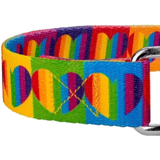 Country Brook Petz Rainbow Hearts Martingale Dog Collar image {3}