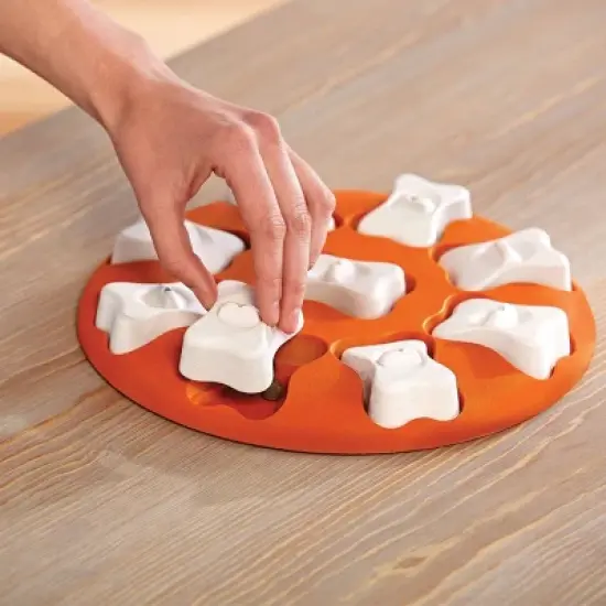 Outward Hound Nina Ottosson Smart Treat Despensing Brain & Exercise Dog Toys image {3}