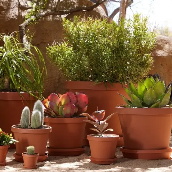 Bloem Terra Pot Planter image {5}