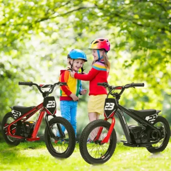 Electric Dirt Bike for Kids, 250W Electric Motorcycle, Electric Balance Bike for Ages 6-12, 3 Speed Settings, 16IN Off-Road Tires image {6}