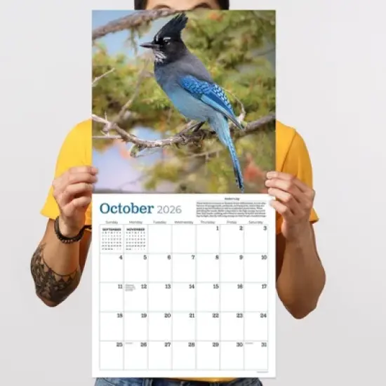 TF Publishing 13.5"x14.5" 2026 Backyard Birds Wall Calendar image {3}