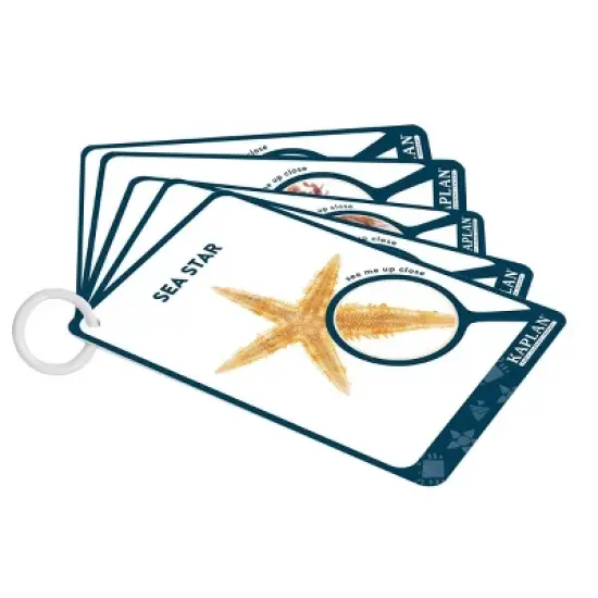 Kaplan Early Learning Specimen Stones and Tabletop Stand image {4}