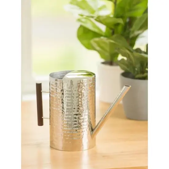 Gardener's Supply Company Stainless Steel Watering Can | Stylish and Modern Design with Easy Grip Wooden Handle & Long Spout to Prevent Spillage | image {2}