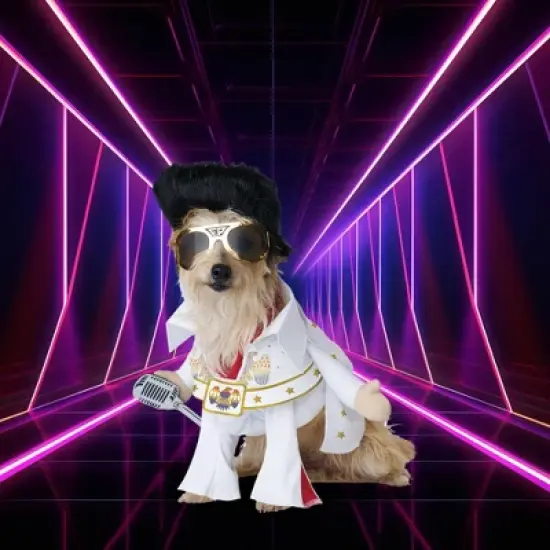 Elvis Viva Vegas Pet Costume image {1}