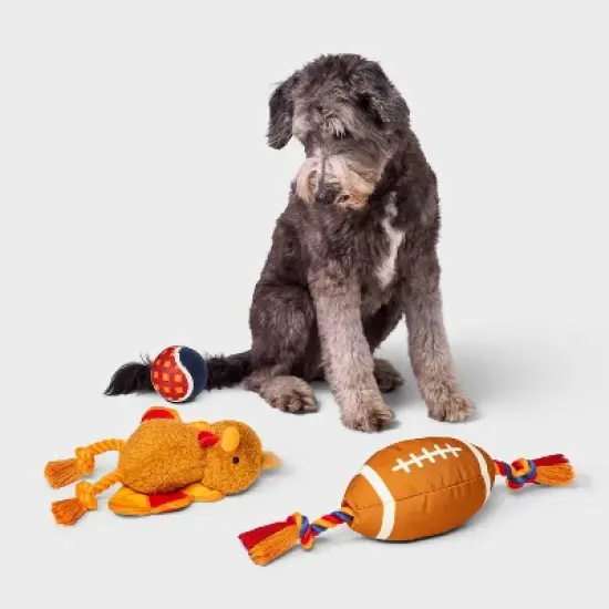 Thanksgiving Dog Ball Plush Toy Set - 3pk - Boots & Barkley&trade; image {3}