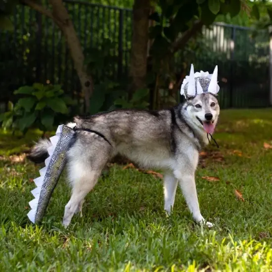 Midlee Dinosaur Dog Headband & Tail Costume image {2}