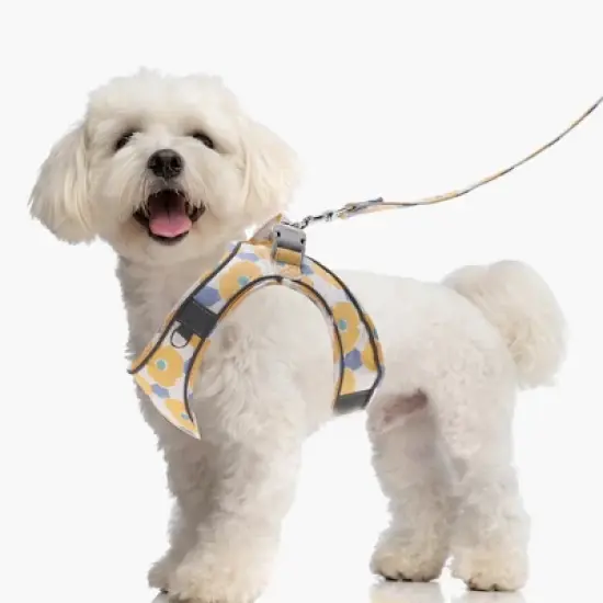 Unique Bargains Dog Harness and Leash with Reflective Strip Medium Orange 1 Set image {5}