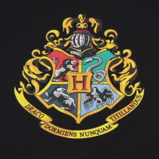 Harry Potter Girls' Wizarding World Hogwarts Crest Sleep Pajama Set Shorts Multicolored image {2}