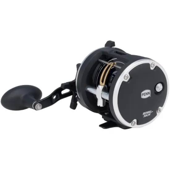 Penn Rival Level Wind Reel - Gear Ratio: 3.9:1 - Size: 30 - Right Hand image {1}