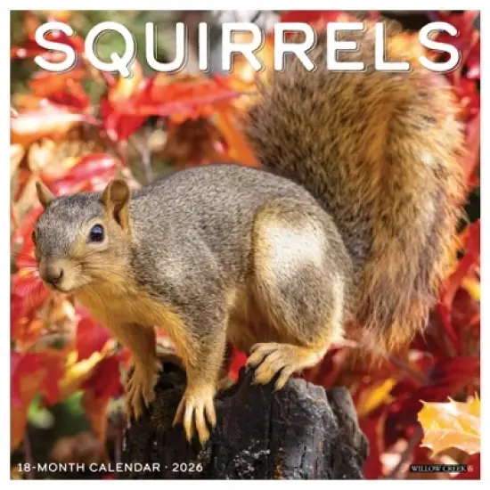 Willow Creek Press 12"x12" 2026 Squirrels Wall Calendar image {5}