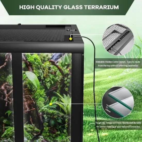 Reptile Glass Terrarium with Top & Side Screen Ventilation Reptile Terrarium, Double Hinge Door & Anti Escape Reptile Tank image {3}