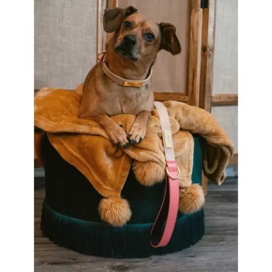 Pink Papyrus Lola Dog Leash image {1}