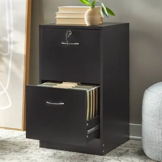 Wilson 2 Drawer Filing Cabinet - Buylateral image {2}