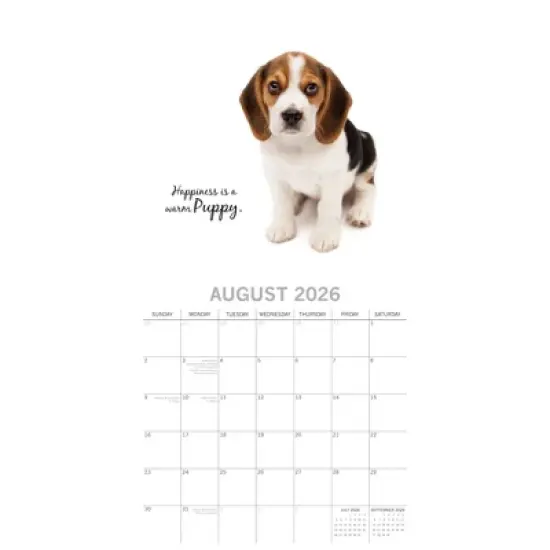 2026 Square Wall Calendar, Adorable Dogs, 16-Month Animals Theme, 180 Reminder Stickers (12x12 In) image {2}