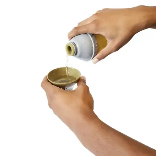  American Pet Supplies Eco-Friendly Silicone Travel Water Bottle - Silicone image {5}