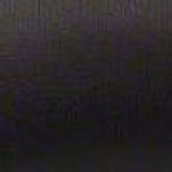 Velo Senso Roost Saddle - Black Rail Material: Steel Width: 165 image {1}