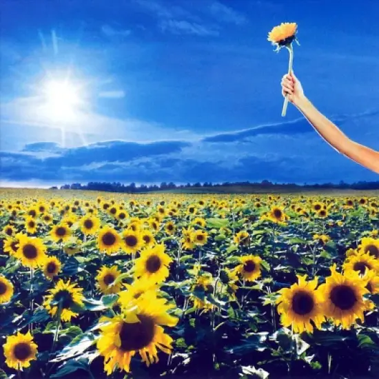 Stone Temple Pilots - Thank You image {3}