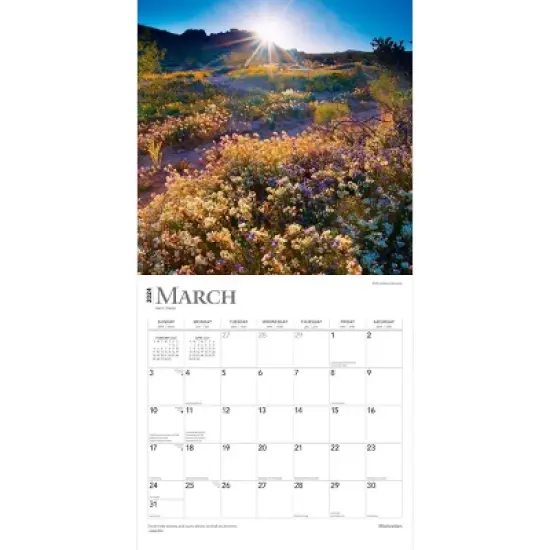 Browntrout 2024 Wall Calendar 12"x12" Motivation Foiled image {2}