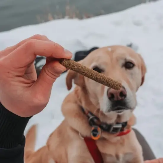 Dog Treat Naturals Superfood Sticks - Pork & Peach 10oz, All-Natural Pet Treats image {3}