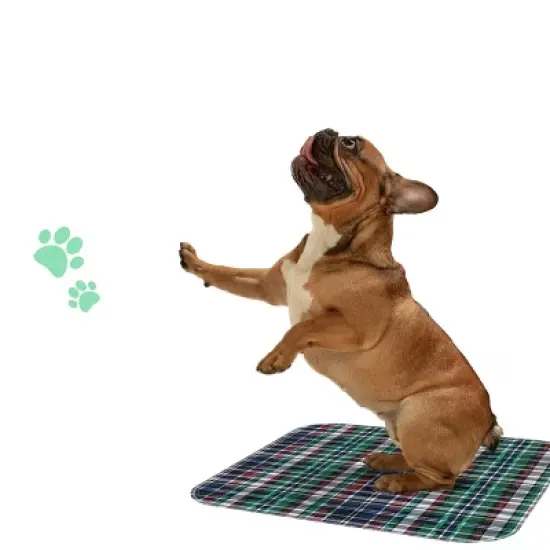 MaxProtect Highland Plaid Reusable Pee Pads for Dogs, Training Underpads - 18" x 24" image {6}