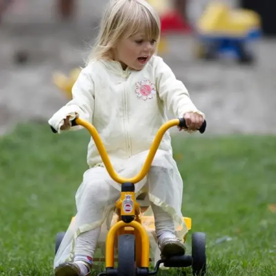 Winther Tricycle with Tray image {5}