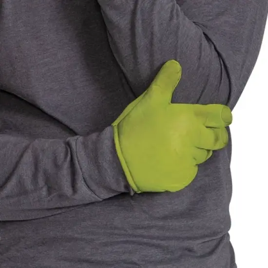 NBCUniversal Shrek Unisex Costume Accessories Kit 8+ Green image {3}