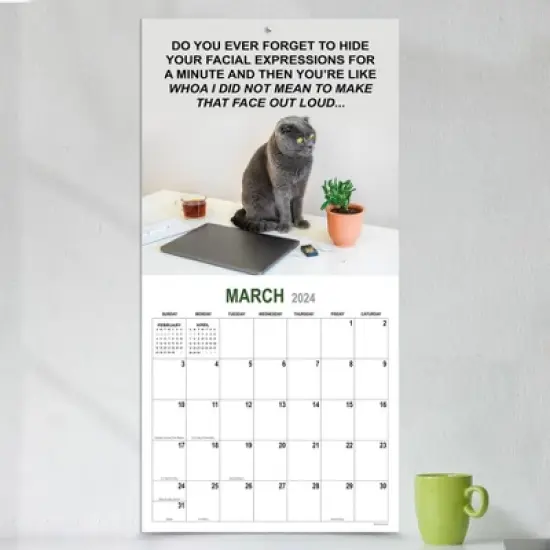 TF Publishing 2024 Wall Calendar 12"x12" Cooperate Cats image {2}