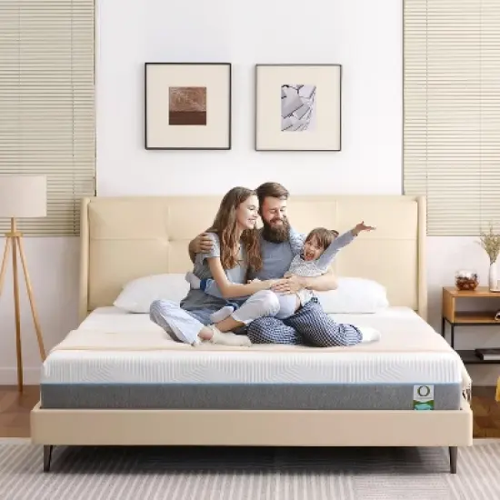 Vipbear 12 Inch Gel Memory Foam Mattresses in a Box for Back Pain Relief, Firm Foam Bed-Mattress for for Cool Sleep image {4}