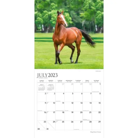 Plato 2023-2024 Wall Calendar 12"x12" Magnificent Horses image {2}