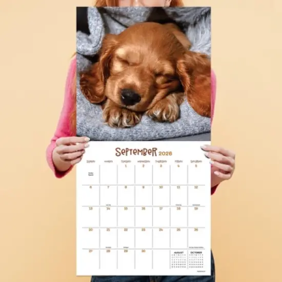 TF Publishing 13.5"x14.5" 2026 Dog Dreams Wall Calendar image {3}