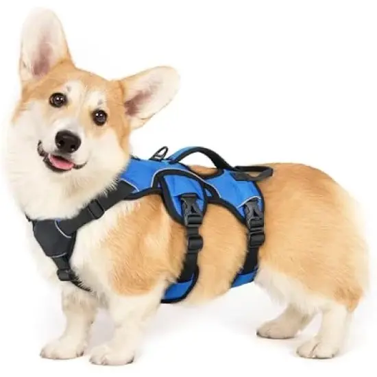 rabbitgoo Dog Harness No image {8}