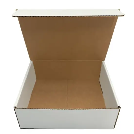 UBMOVE Bulk Pack of 50 White Corrugated Mailer and Literature Boxes (9" x 6.5" x 1.75") image {1}