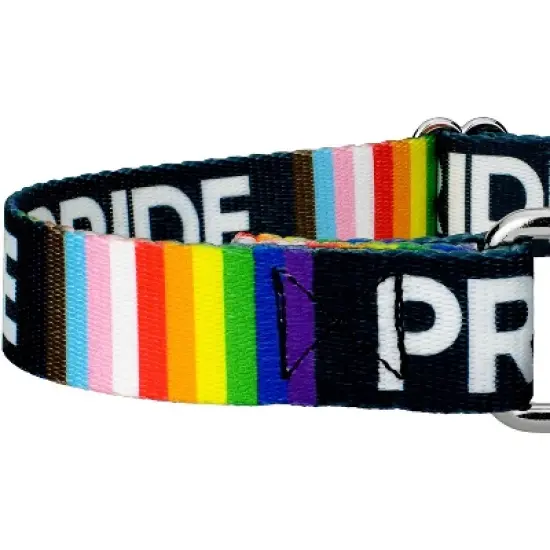 Country Brook Petz Pride Martingale Dog Collar image {3}